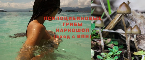 МДМА Лагань
