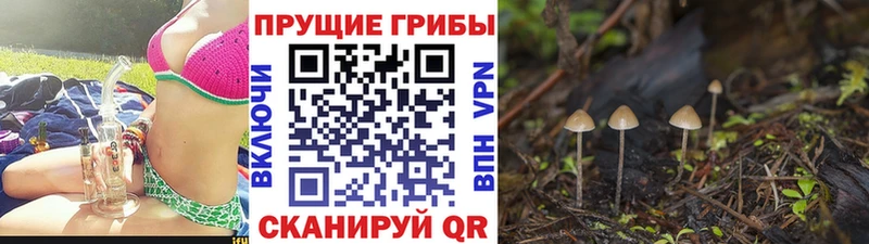 Галлюциногенные грибы Magic Shrooms  Купить  Подпорожье 